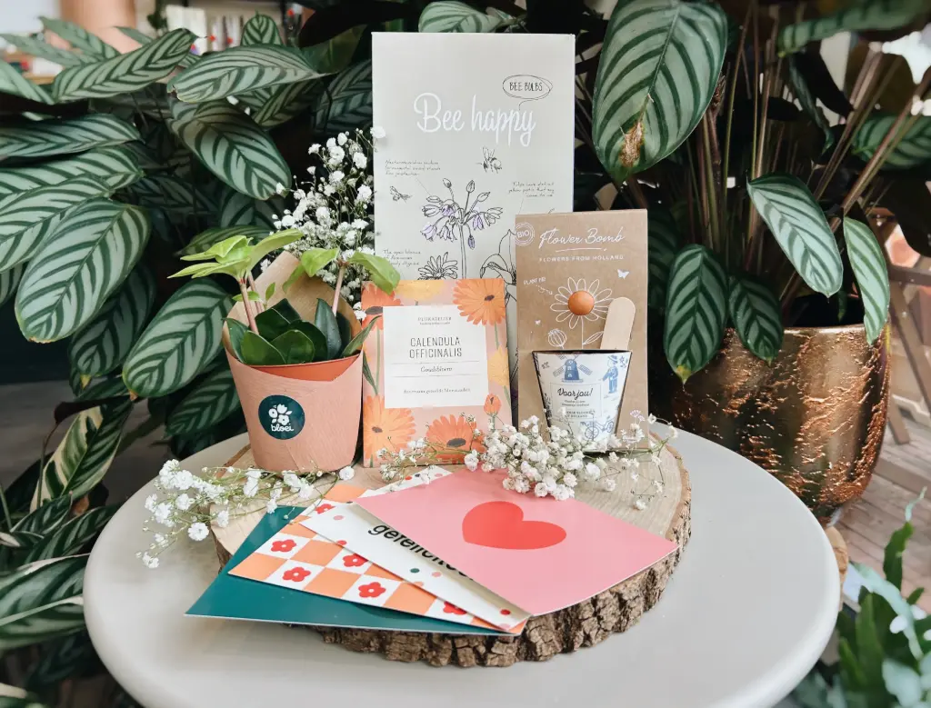 Bloei cadeaupakket S